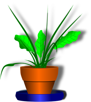 Glowing Plantin Pot PNG