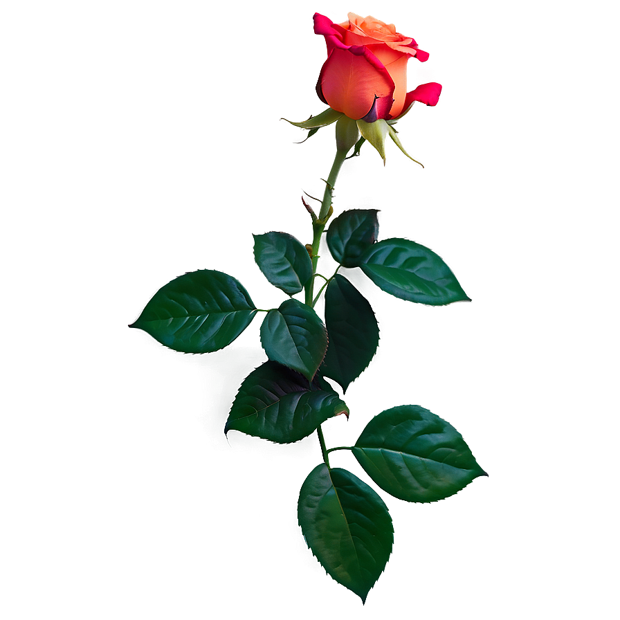 Glowing Rose Png 65 PNG