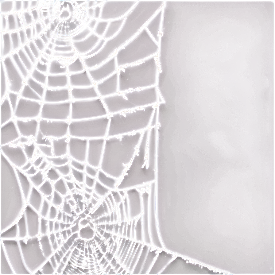 Glowing Spider Web Night PNG