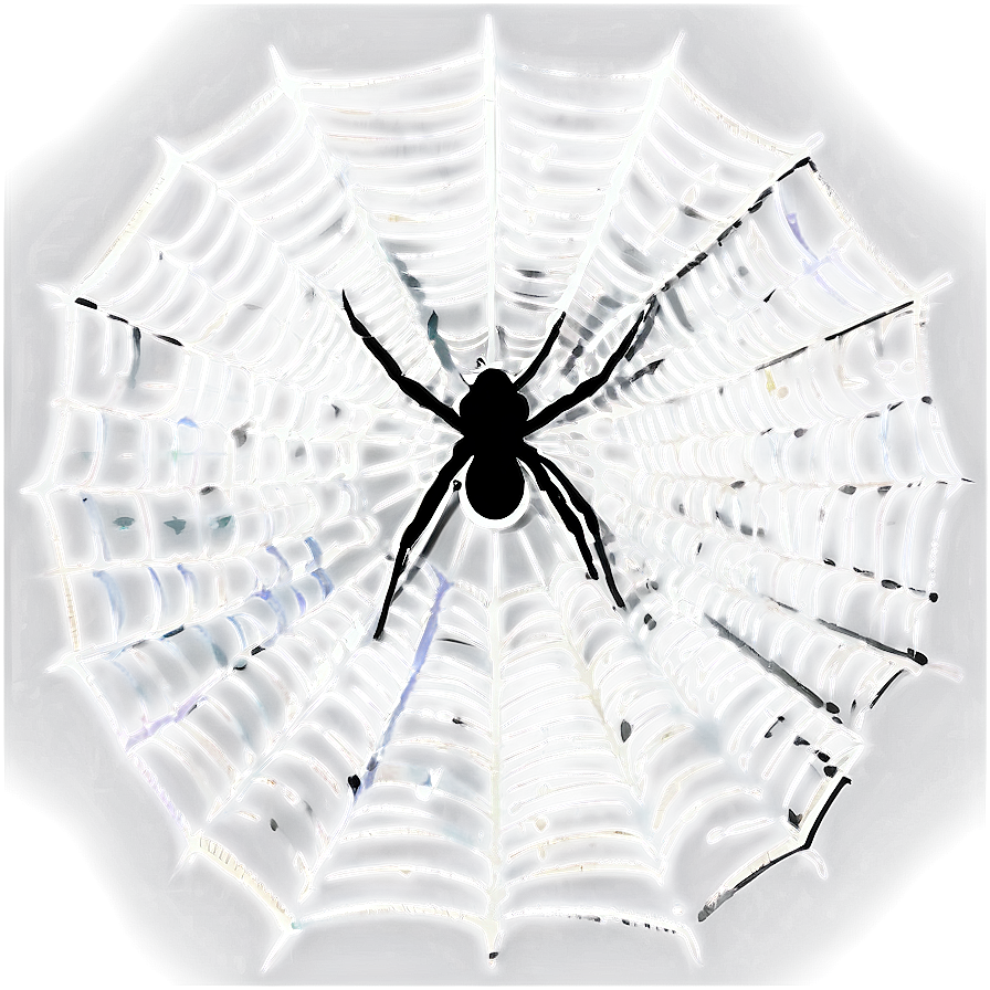 Glowing Spider Webwith Spider Center PNG