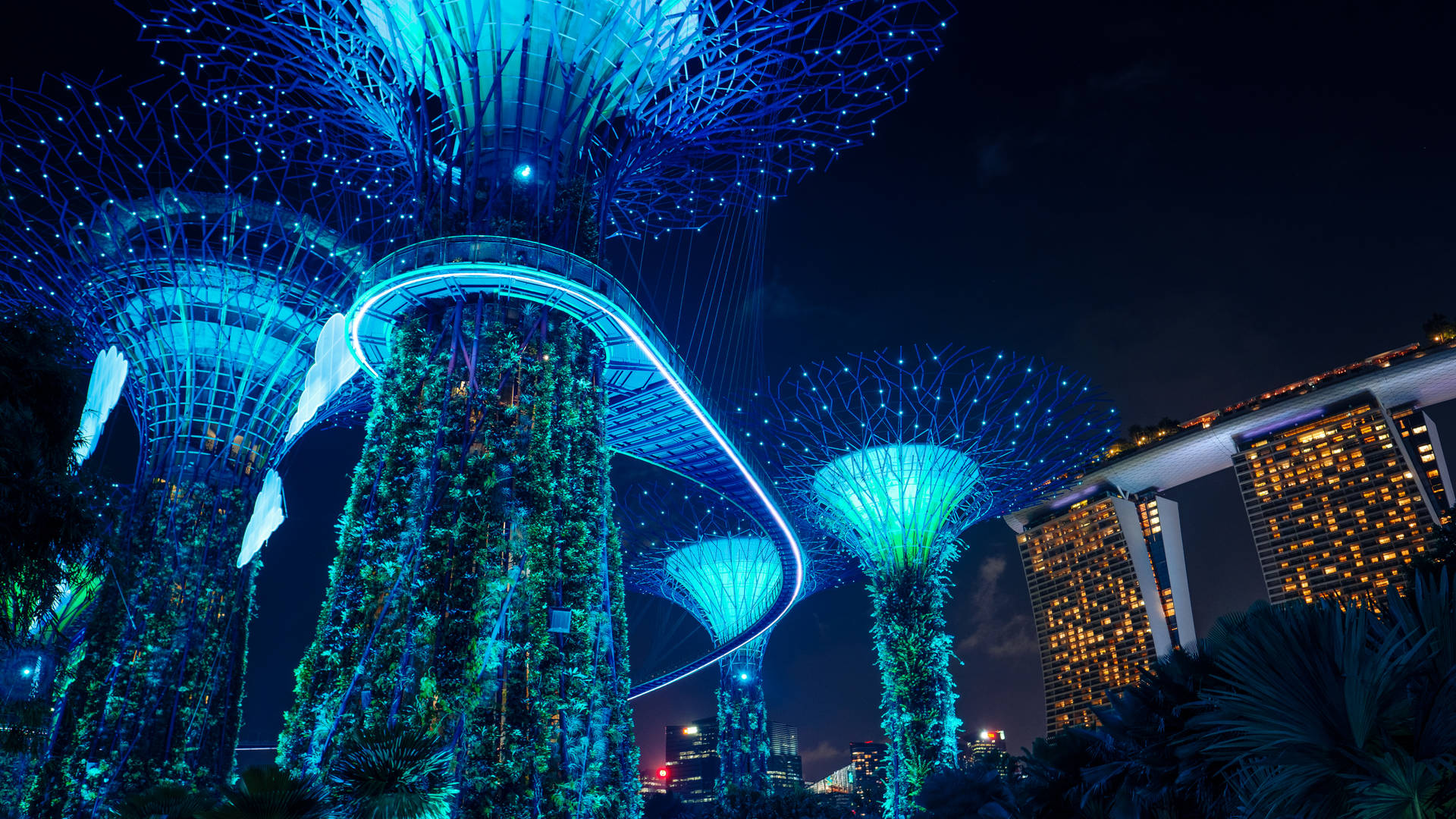 Glowing Supertrees In Singapore