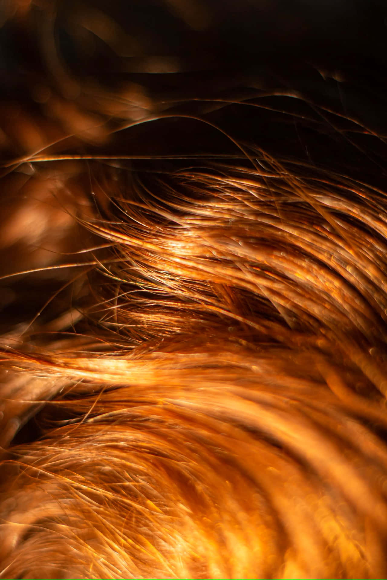 Glowing_ Textured_ Hair_ Closeup.jpg Wallpaper