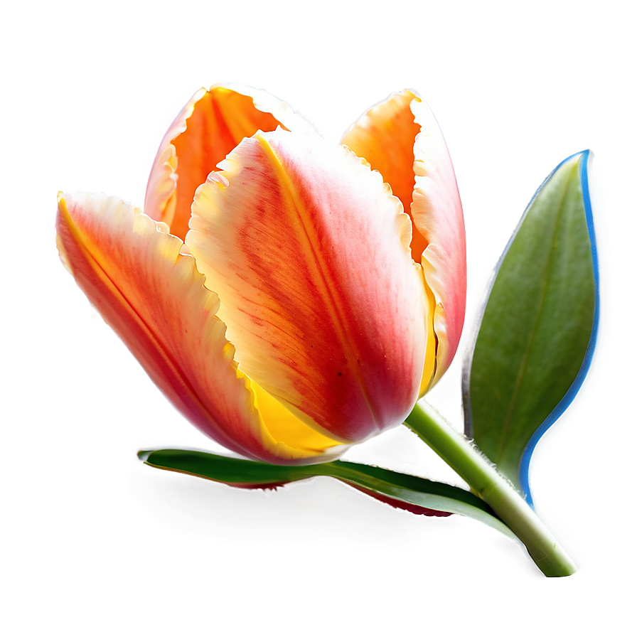 Glowing Tulip Png Epg21 PNG