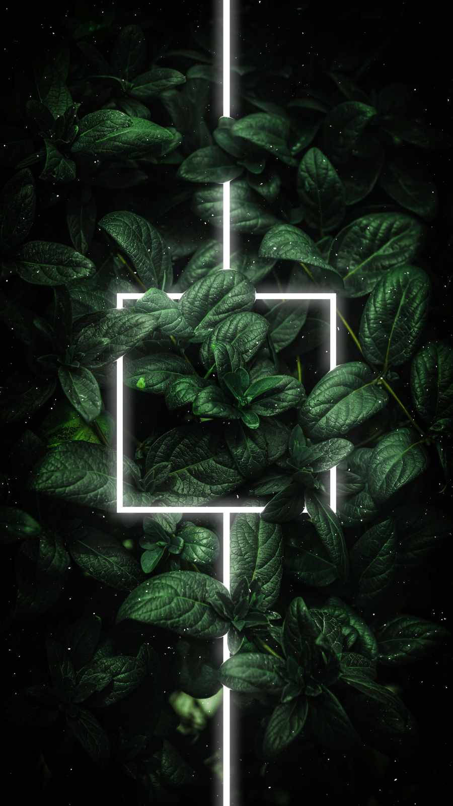 Glowing White Line On Leaves Green iPhone Wallpaper
