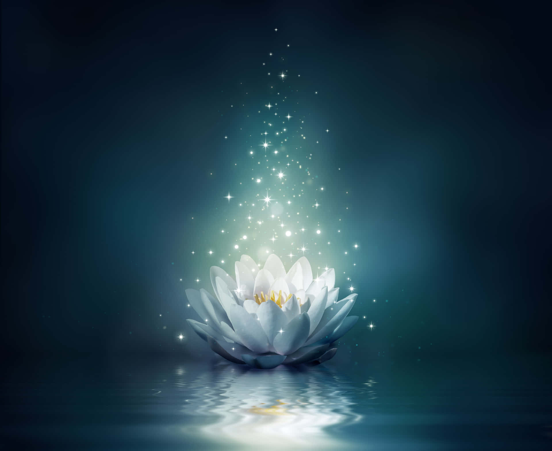 Glowing White Lotus Magic Sparkles Wallpaper