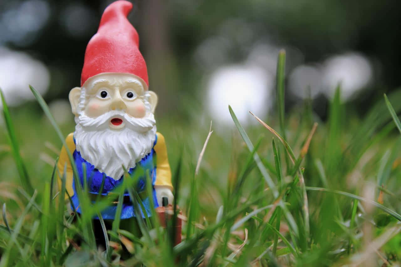 A Toy Gnome Is Standing In The Grass