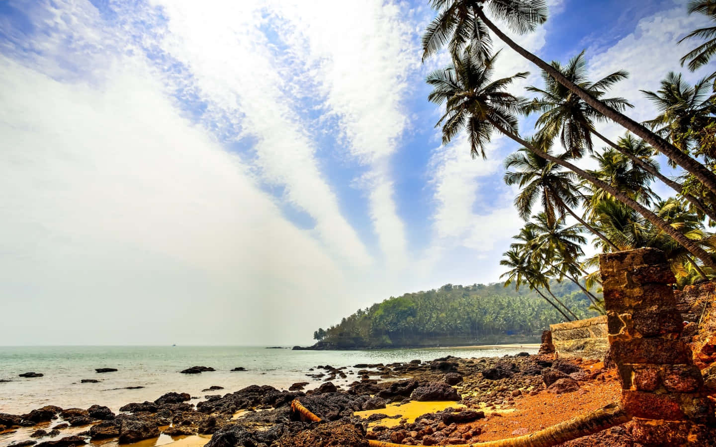 Rilassatie Ricaricati Su Una Spiaggia Di Goa
