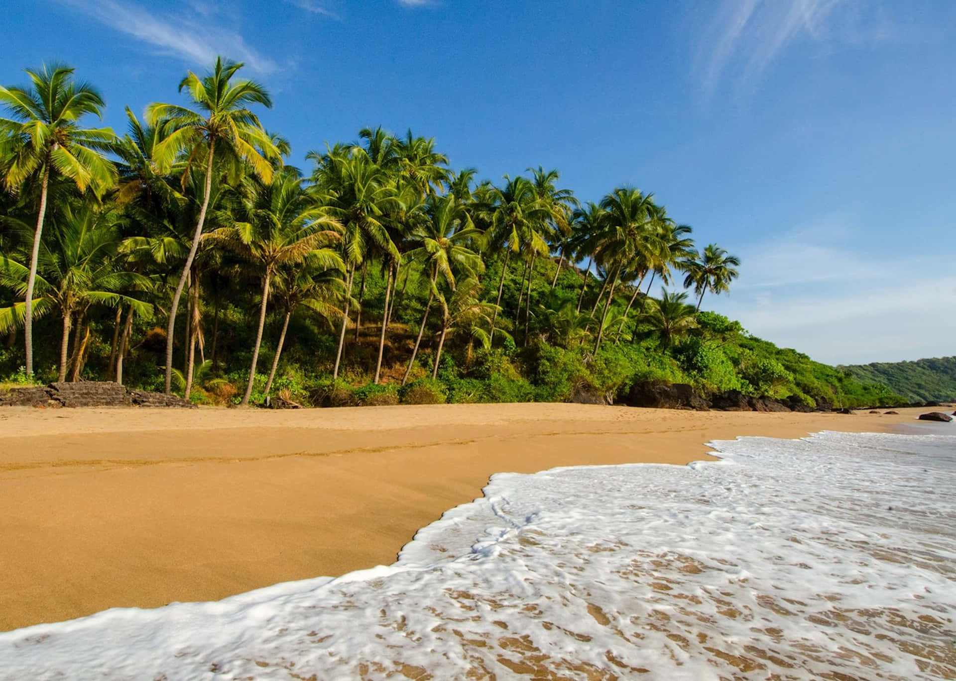 A Sandy Beach With Palm Trees And Waves
