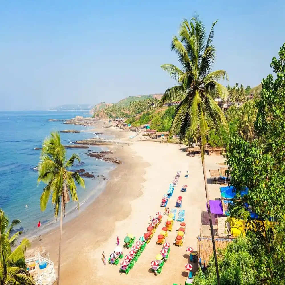 Storslagenutsikt Över Goa Beach