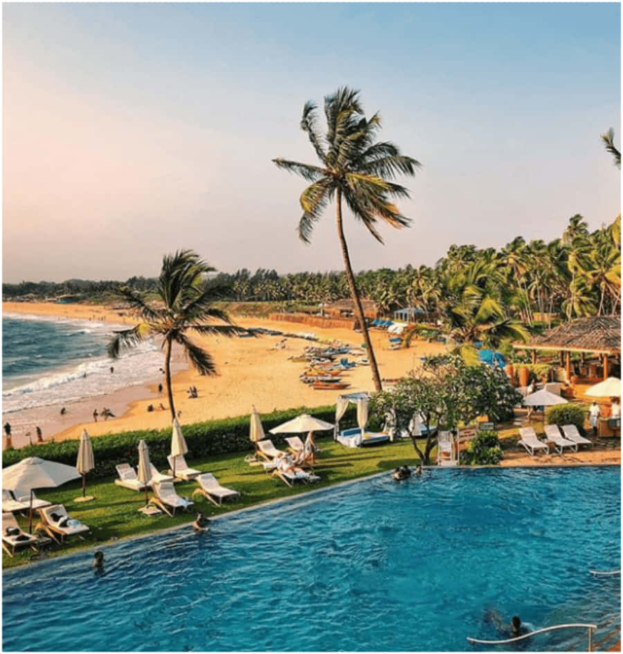 Njutav Den Fridfulla Strandparadiset I Goa.
