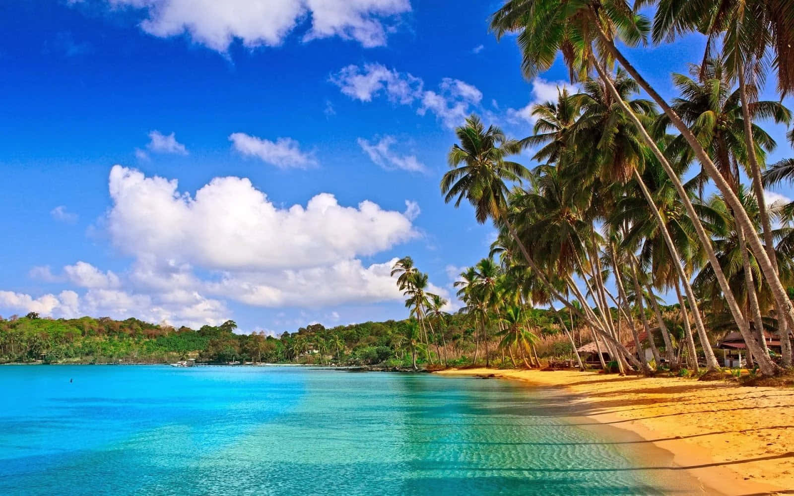 Goditile Splendide Sabbie Dorate E Le Acque Blu Tropicali Della Spiaggia Di Goa.