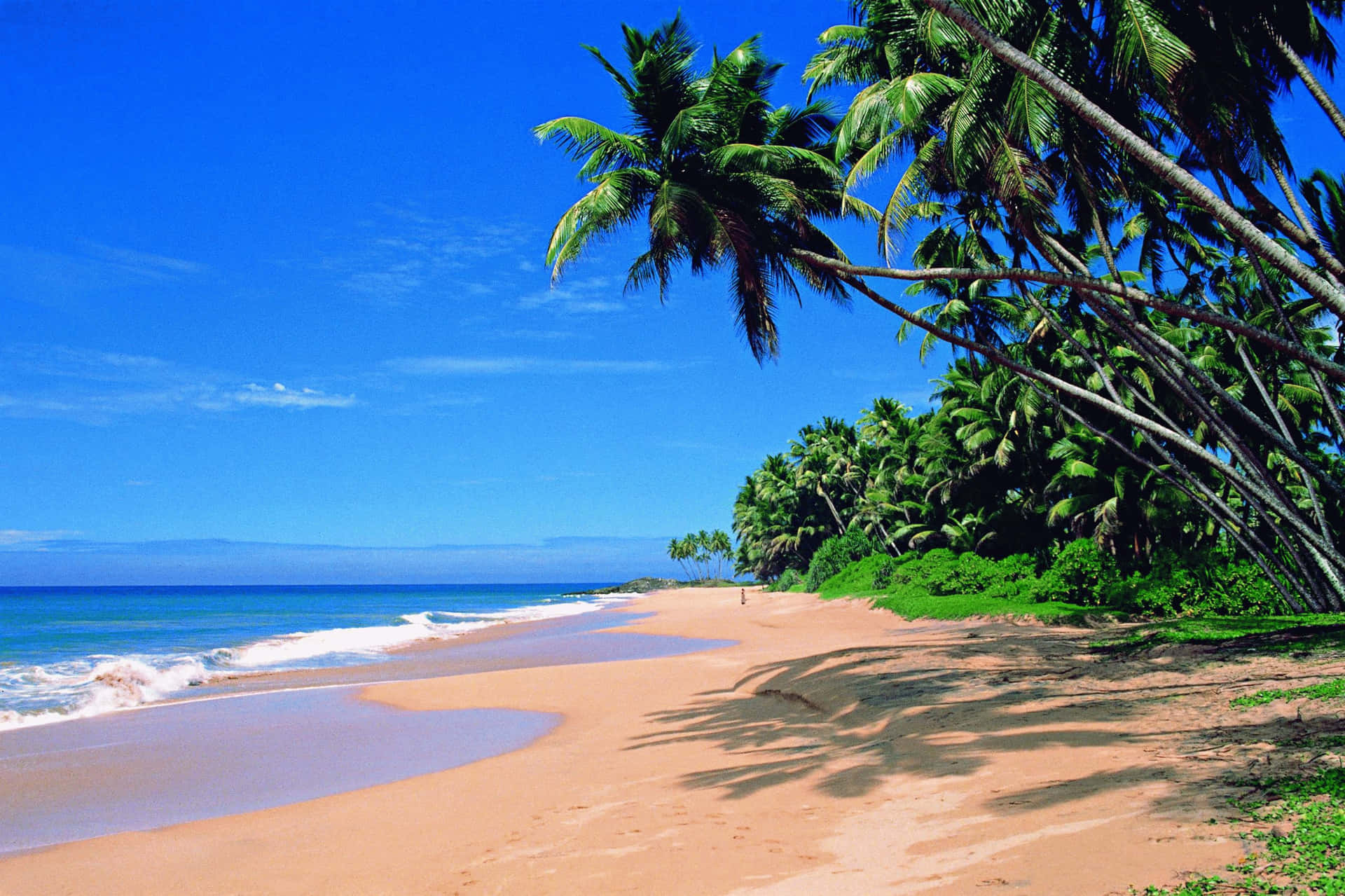 A beautiful view of the beach in Goa, India