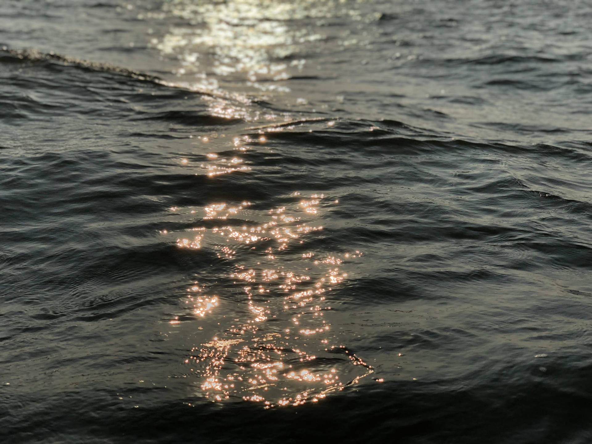 Olasdel Océano En Goa, India. Fondo de pantalla