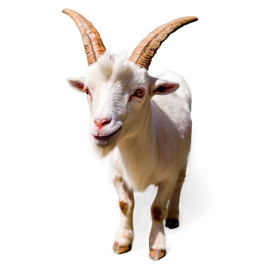 Goat Emoji Png Jmh PNG