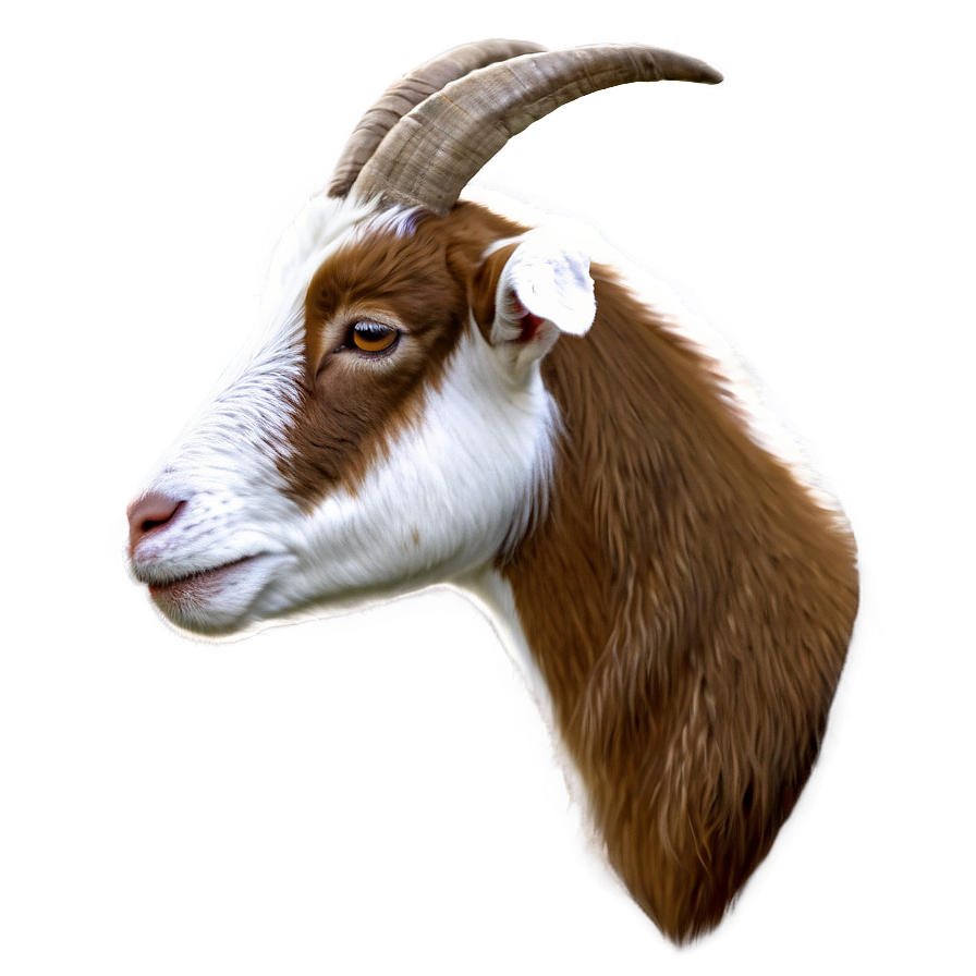 Download Goat Head Png 12 | Wallpapers.com