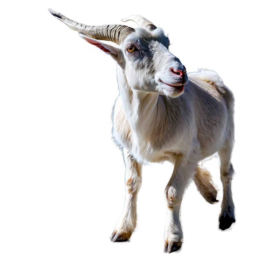 Goat On Mountain Png Ggq PNG
