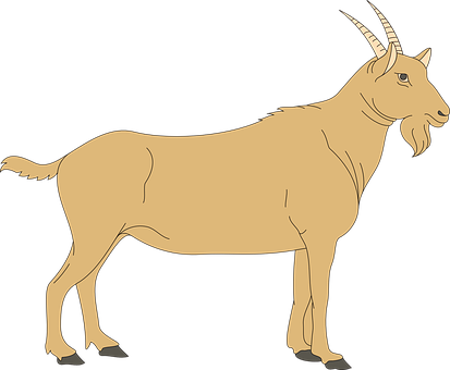 Goat Vector Illustration PNG