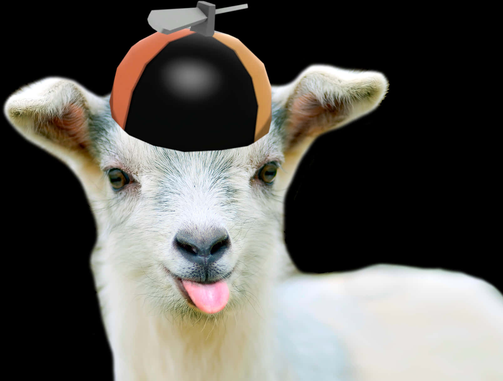 Goat Wearing Bomb Hat PNG