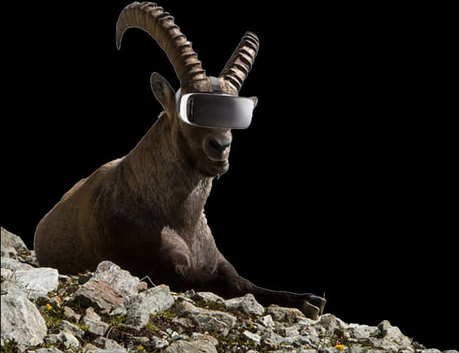 Goat Wearing V R Headset PNG