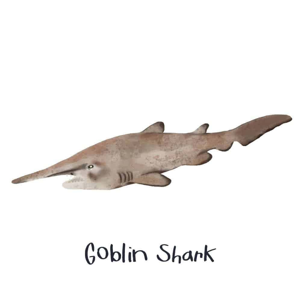 Immaginedi Illustrazione Del Goblin Shark Marrone