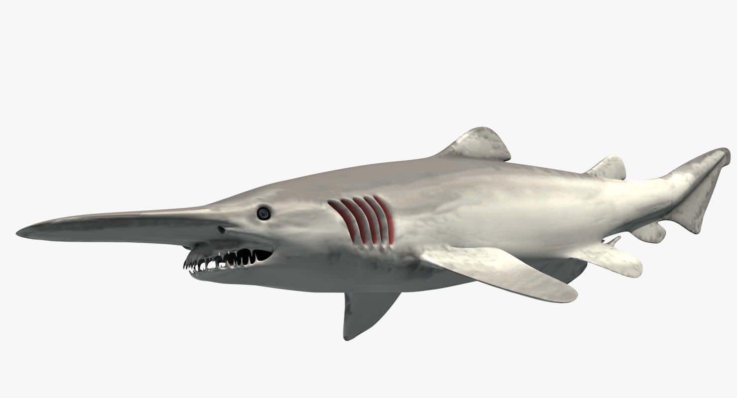 Goblin Shark 3d Illustration Picture