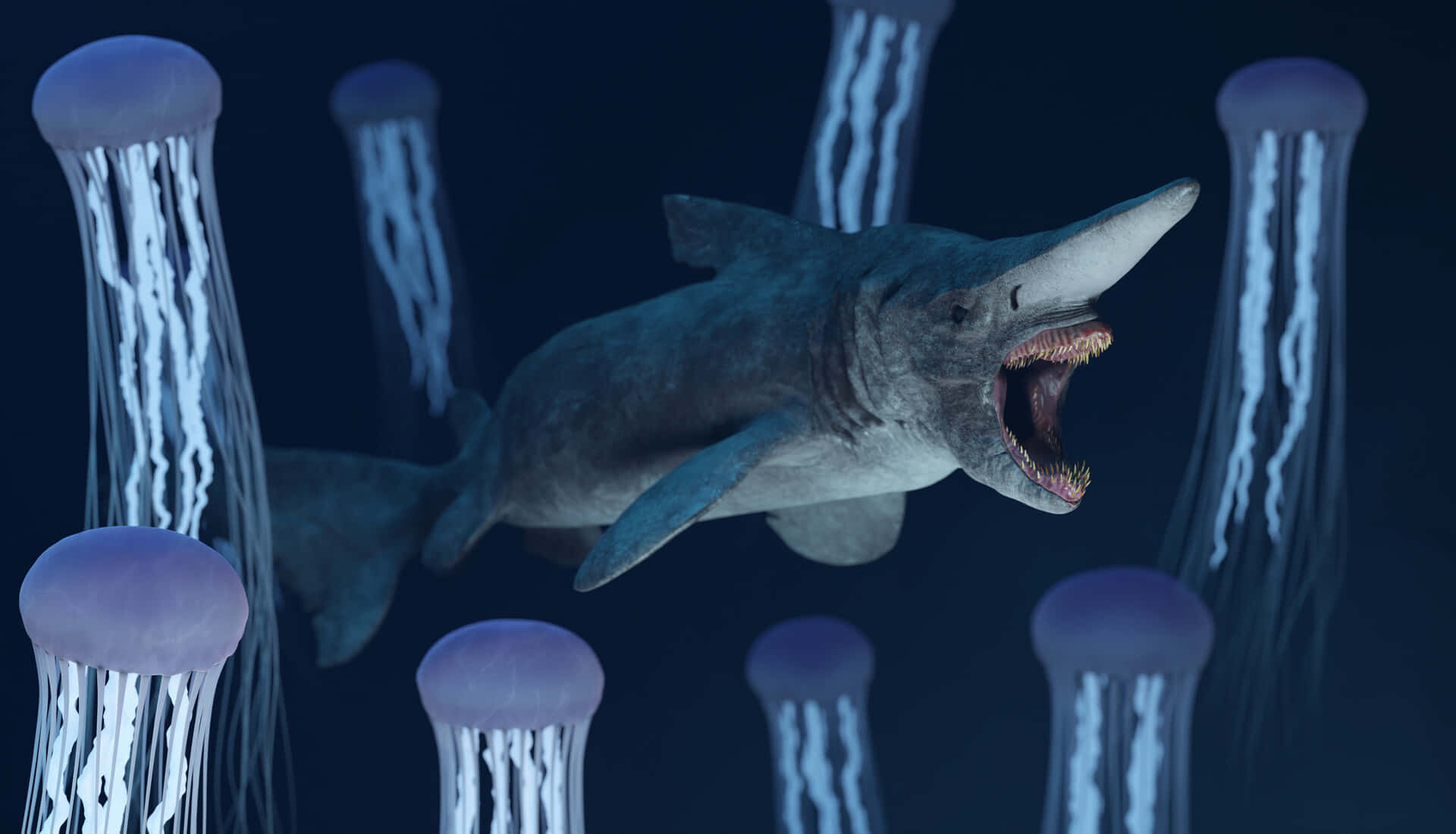 Goblin Shark Cool Jellyfishes Picture