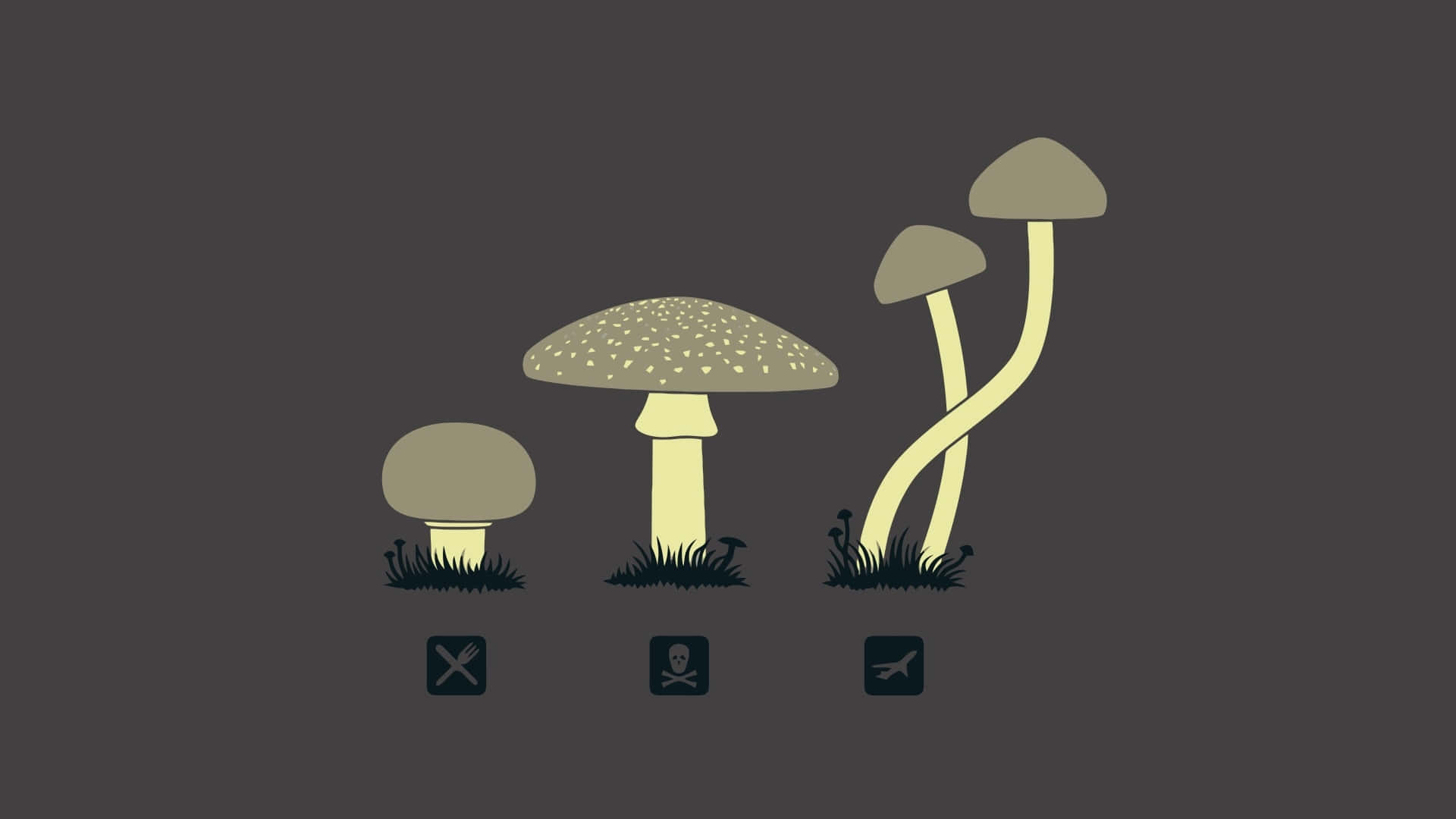 Goblincore Mushroom Aesthetic Wallpaper