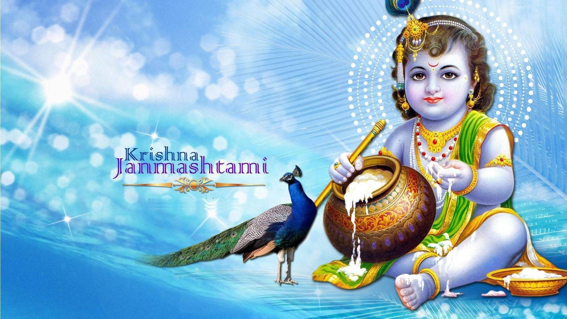 God Full Hd Krishna Janmashtami Wallpaper
