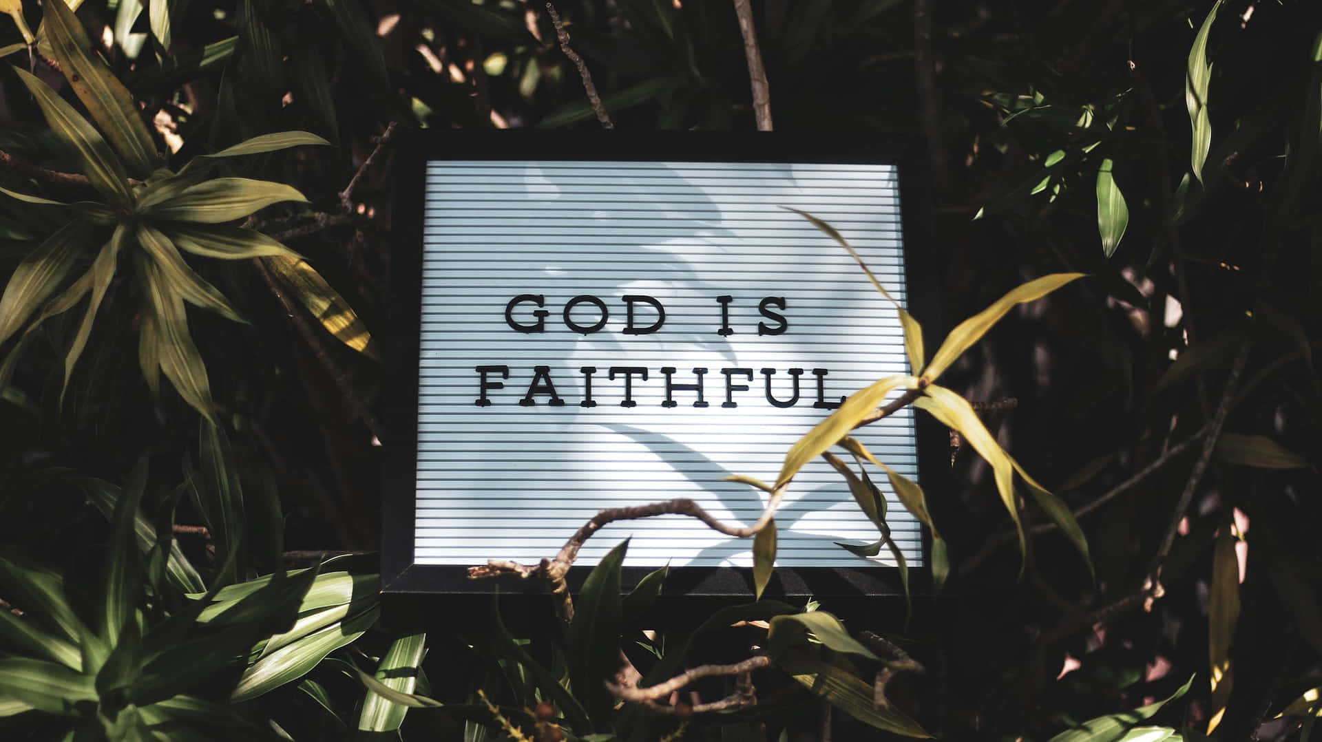 God Is Faithful_ Spiritual Message_ Nature Backdrop Wallpaper