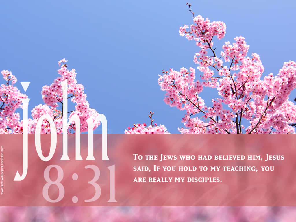 Encourage yourself with God's word Wallpaper