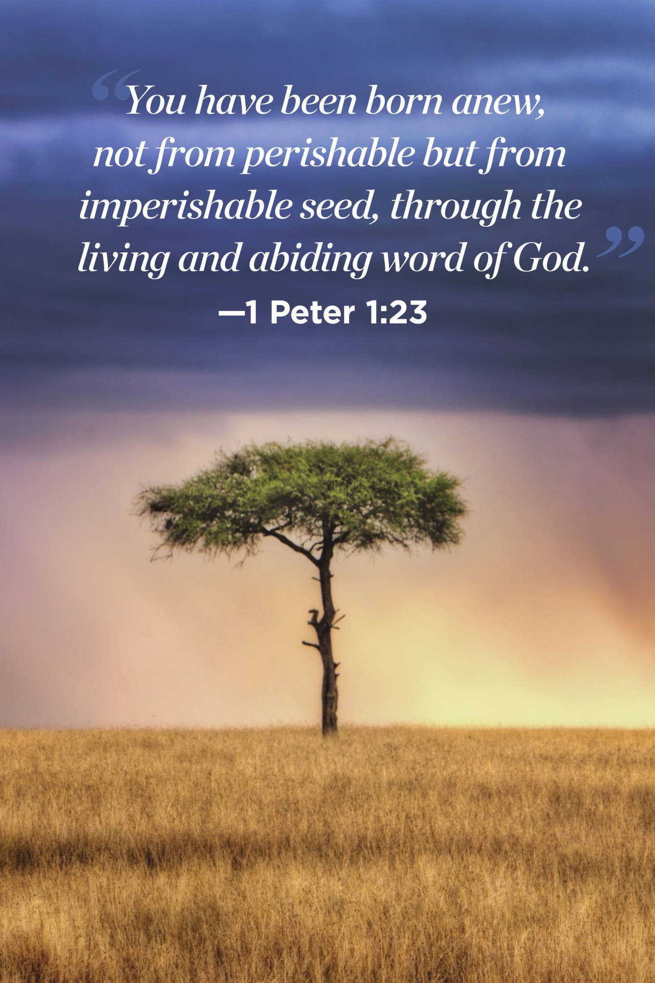 God Quotes Peter 1:23 Wallpaper