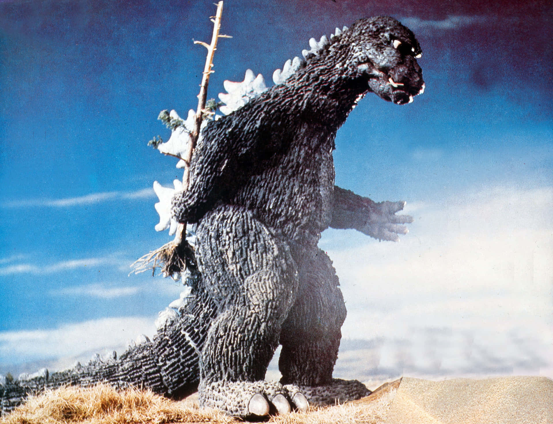 Godzilla Staat In Een Aggressieve Houding Achtergrond