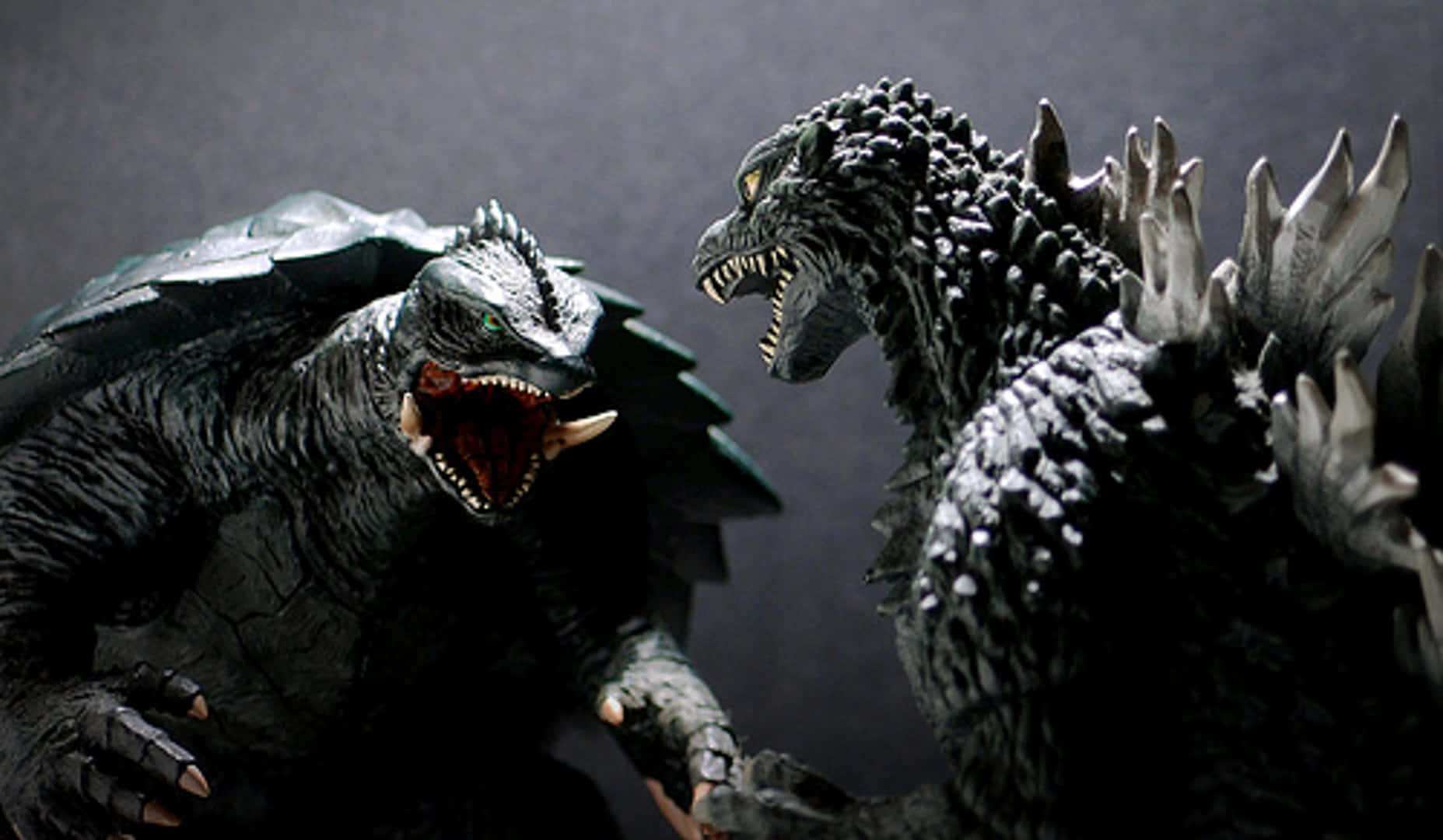 Epic Battle of Titans: Godzilla vs Gamera Wallpaper