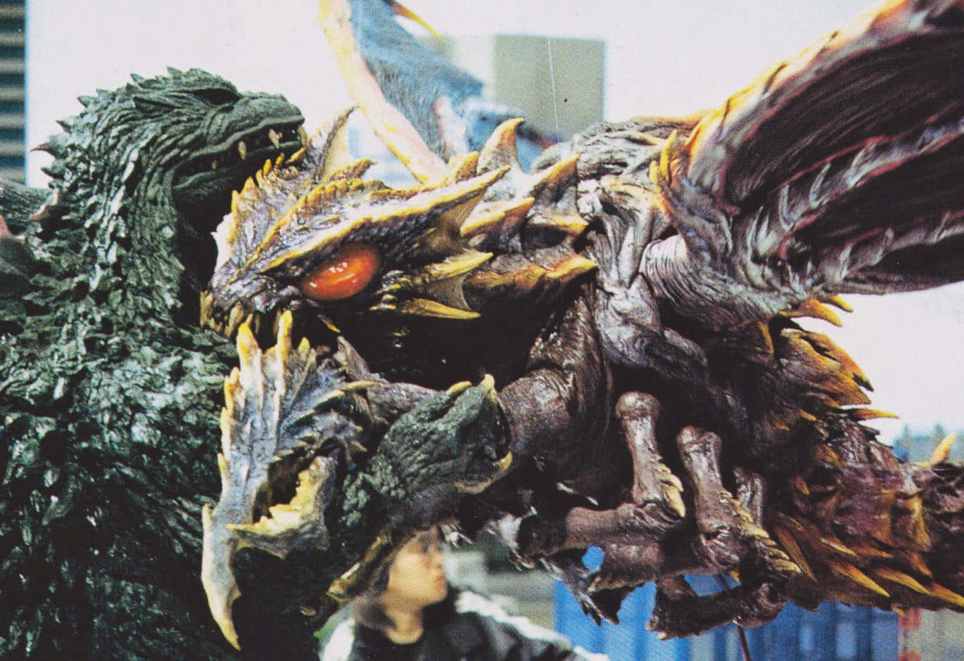 Godzilla battling Megaguirus Wallpaper
