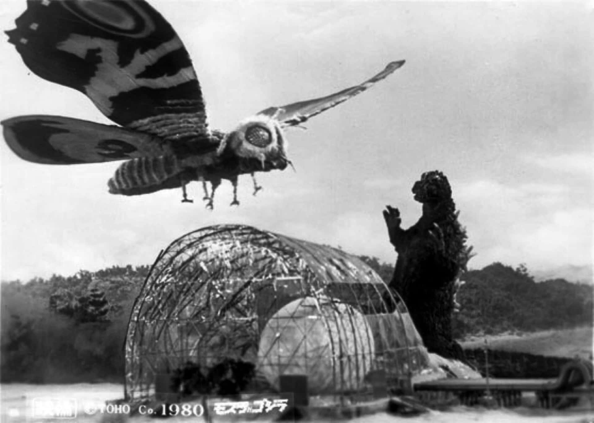 Epic Battle Between Godzilla and Mothra Wallpaper