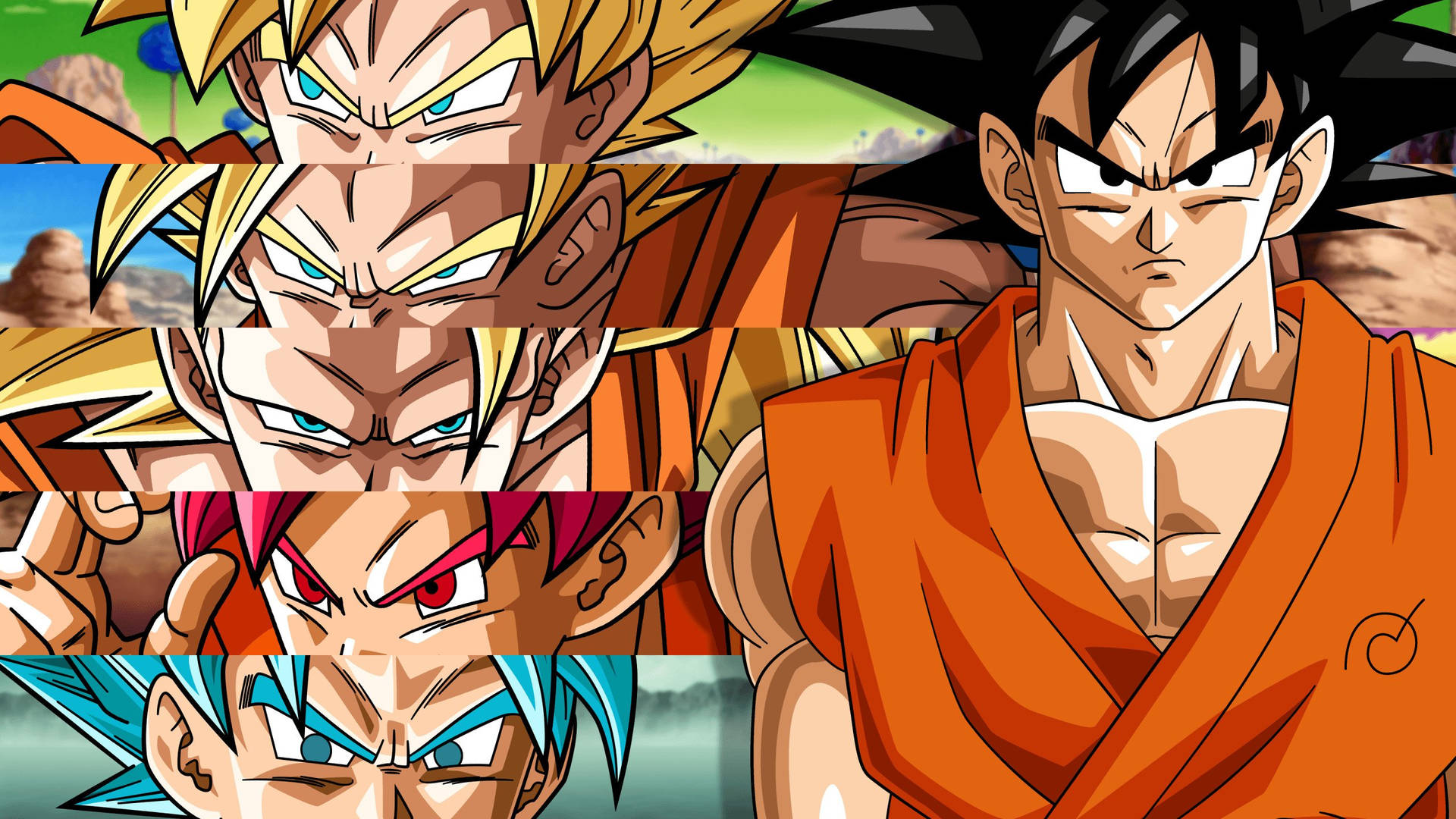 Diferentesformas De Goku En Dragon Ball Super Fondo de pantalla