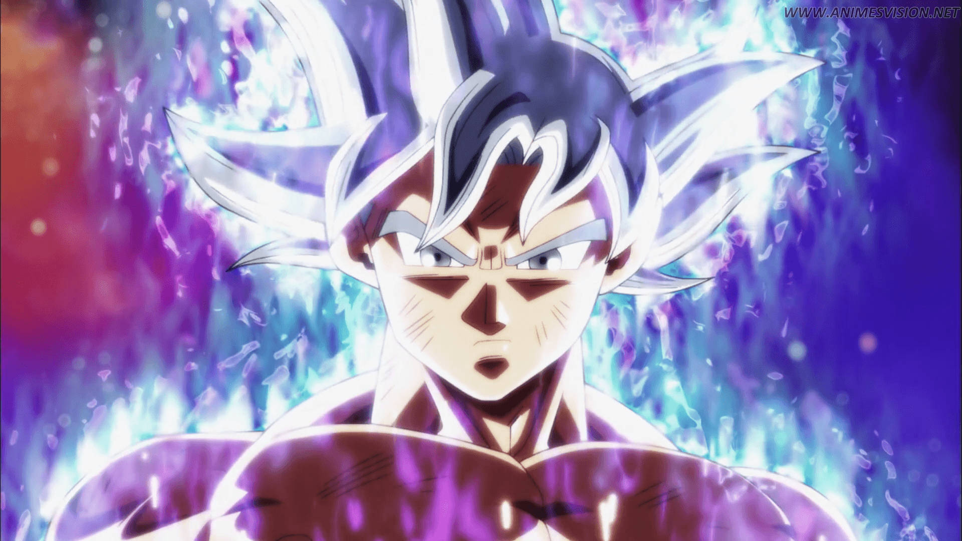 Goku Mastered Ultra Instinct Art