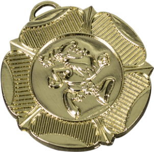 Gold Award Medal Design PNG