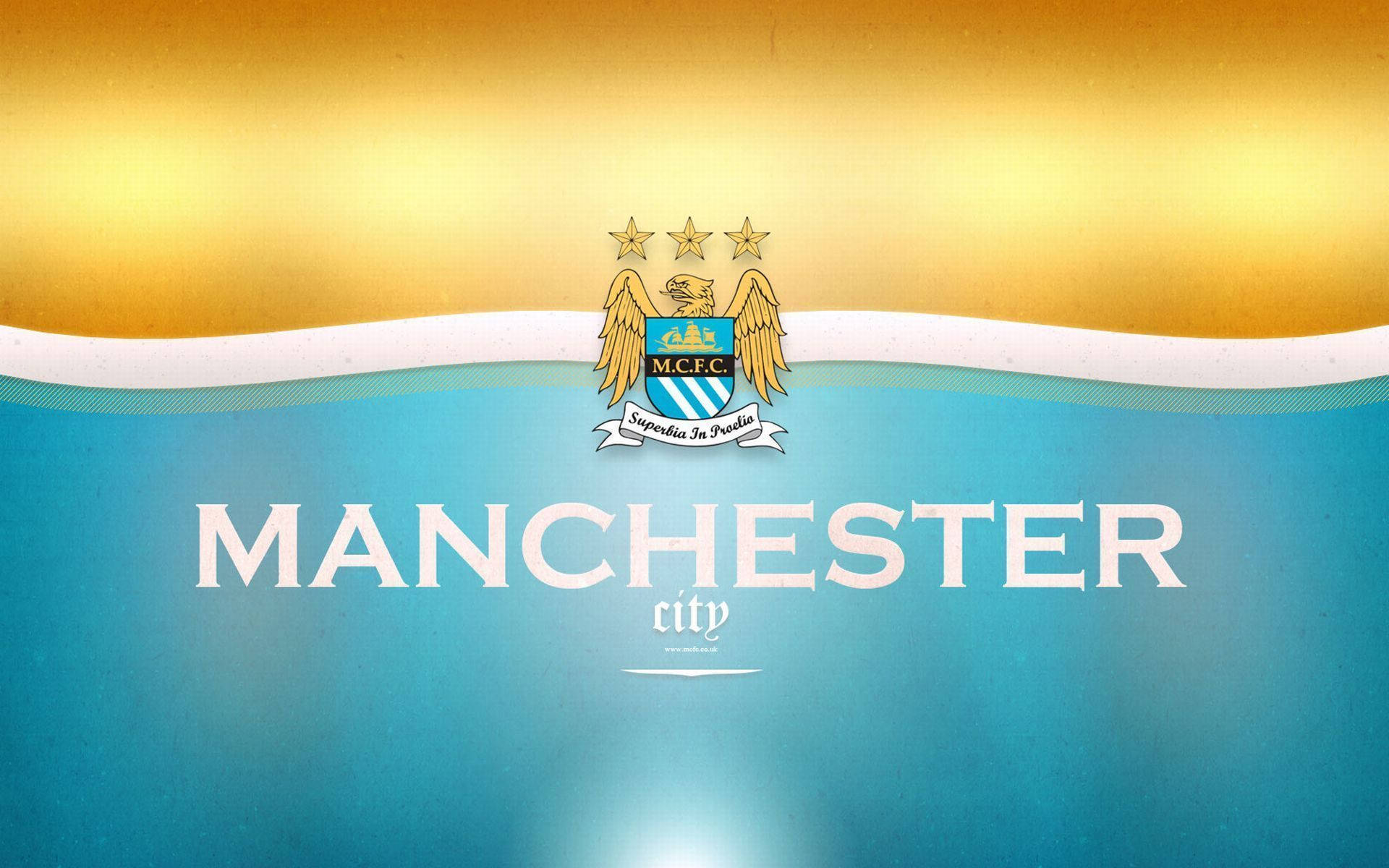 Proudly Showing Off the Manchester City Logo Wallpaper