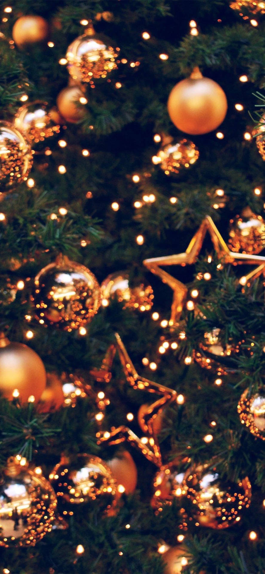 Gold Christmas Lights Tree Close-up
