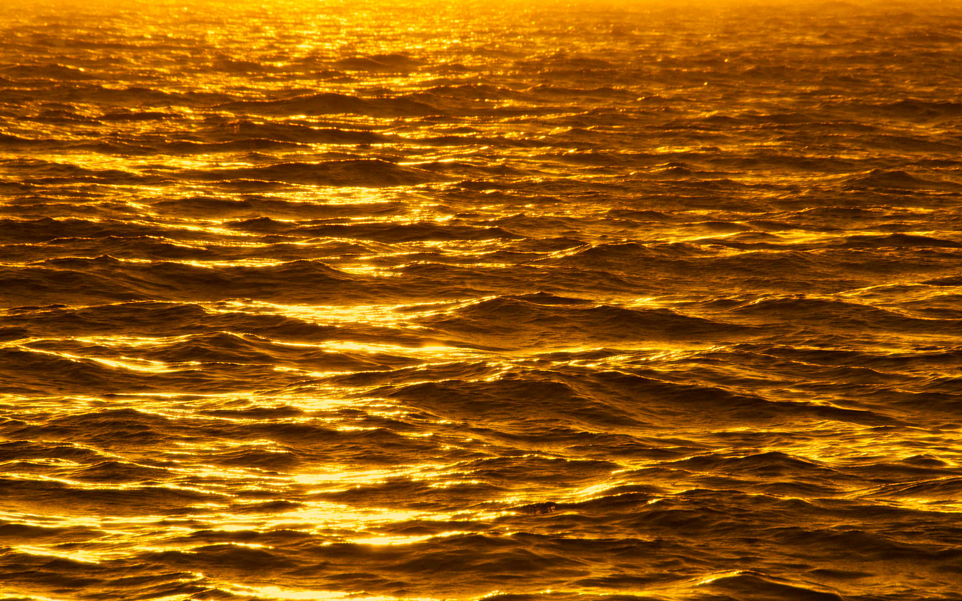 Gold Foil Ocean