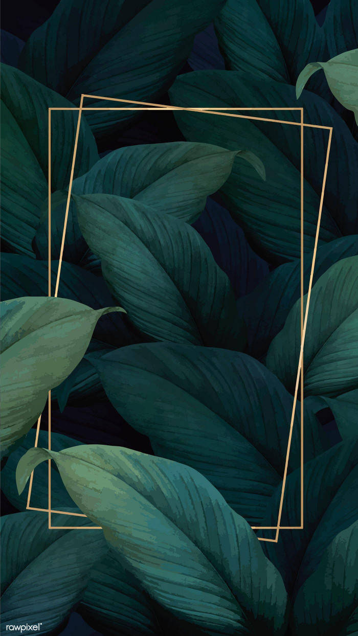 Top 999+ Green Aesthetic Tumblr Wallpaper Full HD, 4K✅Free to Use
