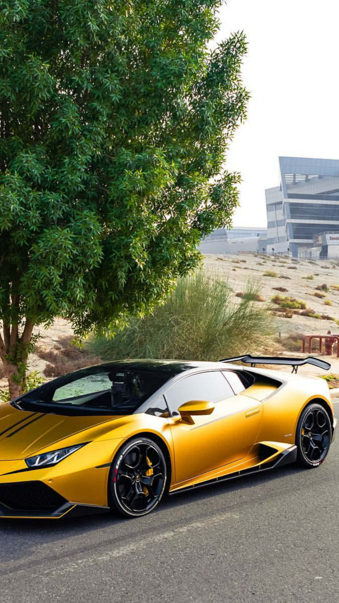 Boost dit stil med en luksuriøs guld Lamborghini. Wallpaper