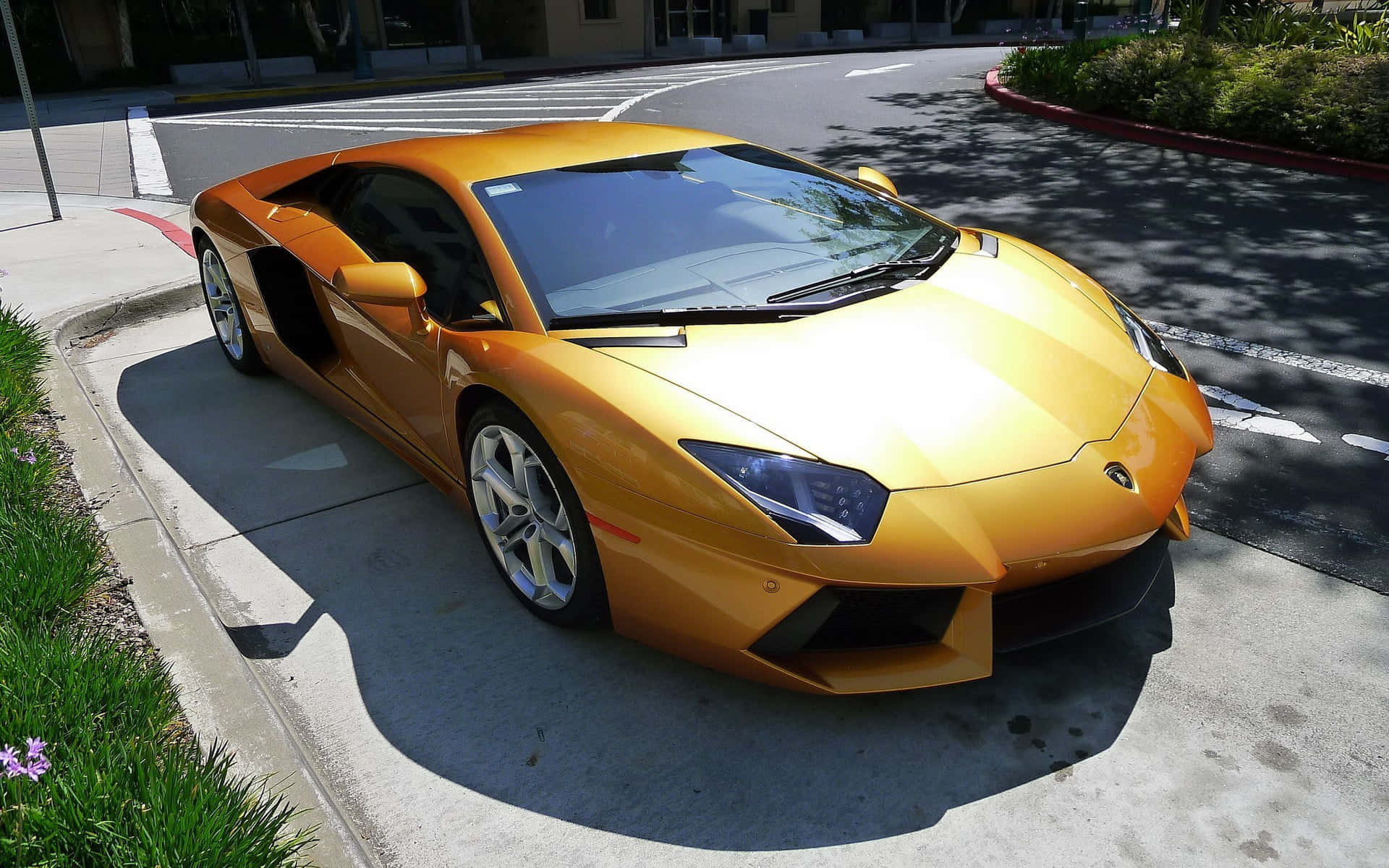 Gold Lamborghini, the king of luxury. Wallpaper