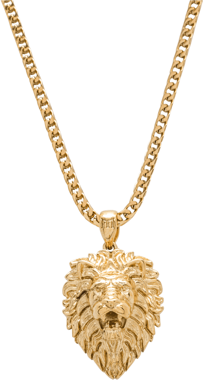 Gold Lion Pendant Necklace PNG