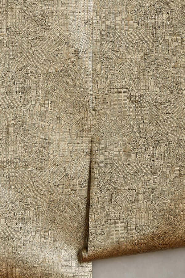 Antikelandkarte Mit Goldenem Metallischem Hintergrund
