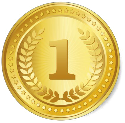 Gold Number One Winner Medal.png PNG