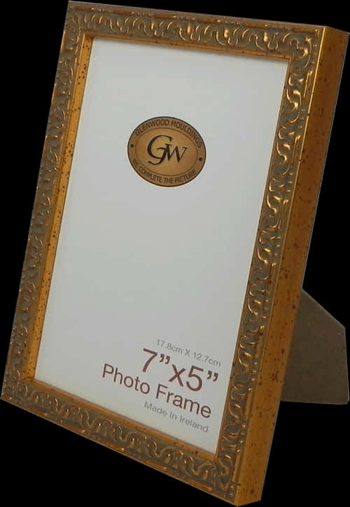 Gold Ornate Photo Frame PNG