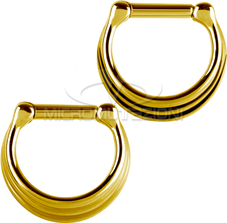 Gold Segment Ring Piercing Jewelry PNG