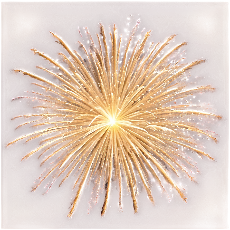 Gold Sparkle Firework Display Png Wod1 PNG